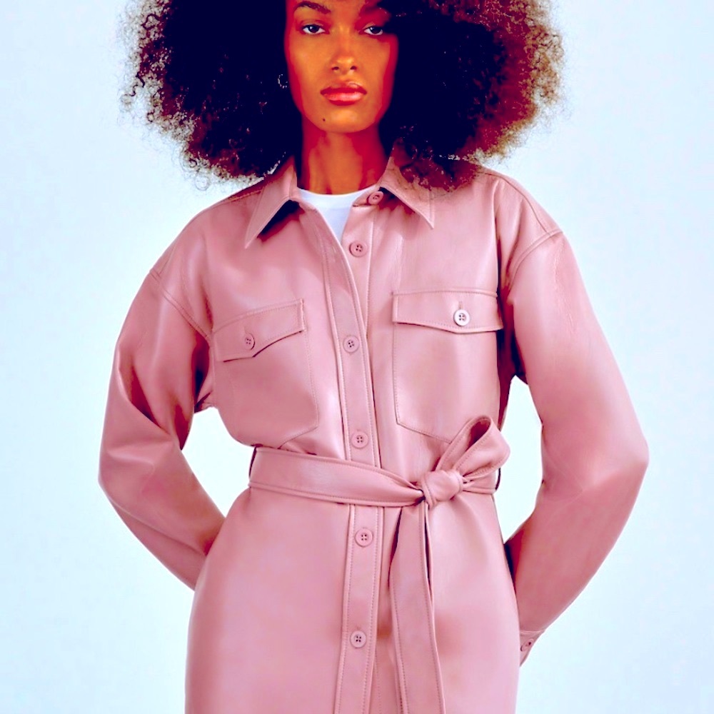 Aritzia Ava Jacket NWT